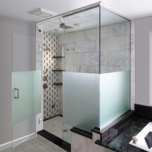 Steam Shower Door (1)