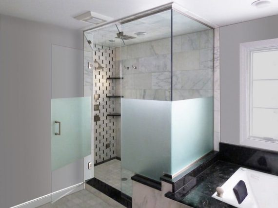 Steam Shower Door (1)